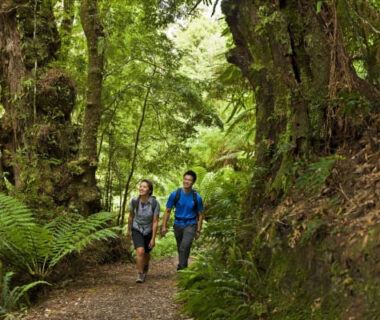 roserockschool | Lavers Hill: Township and Gateway to the Otways