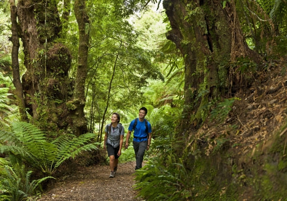 roserockschool | Lavers Hill: Township and Gateway to the Otways