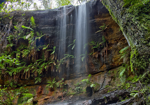 roserockschool | Bullaburra: Hiking and exploring Bullaburra