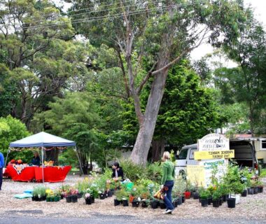 roserockschool | Bullaburra: Hiking and exploring Bullaburra