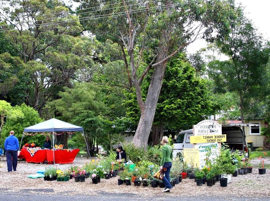 roserockschool | Bullaburra: Hiking and exploring Bullaburra