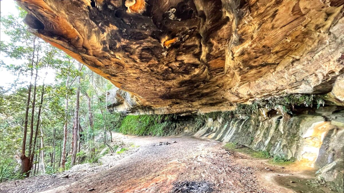 roserockschool | Kings Cave: Exploring the historical Kings Cave.