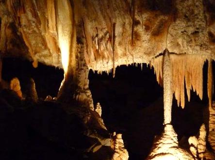 roserockschool | Jenolan Caves Tour: Discovering the wonders of Jenolan Caves.