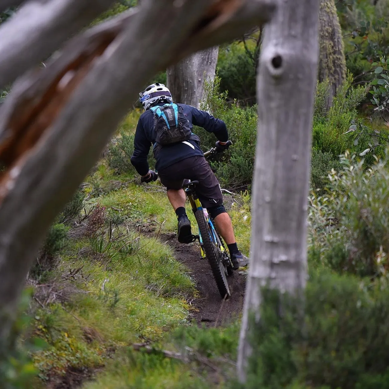 roserockschool | When Is the Best Time to Go to Mount Buller? roserockschool | When Is the Best Time to Go to Mount Buller?