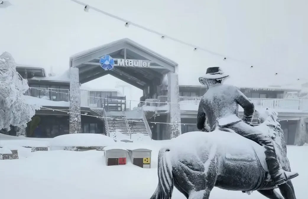 roserockschool | When Is the Best Time to Go to Mount Buller?