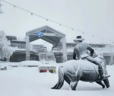 roserockschool|When Is the Best Time to Go to Mount Buller?