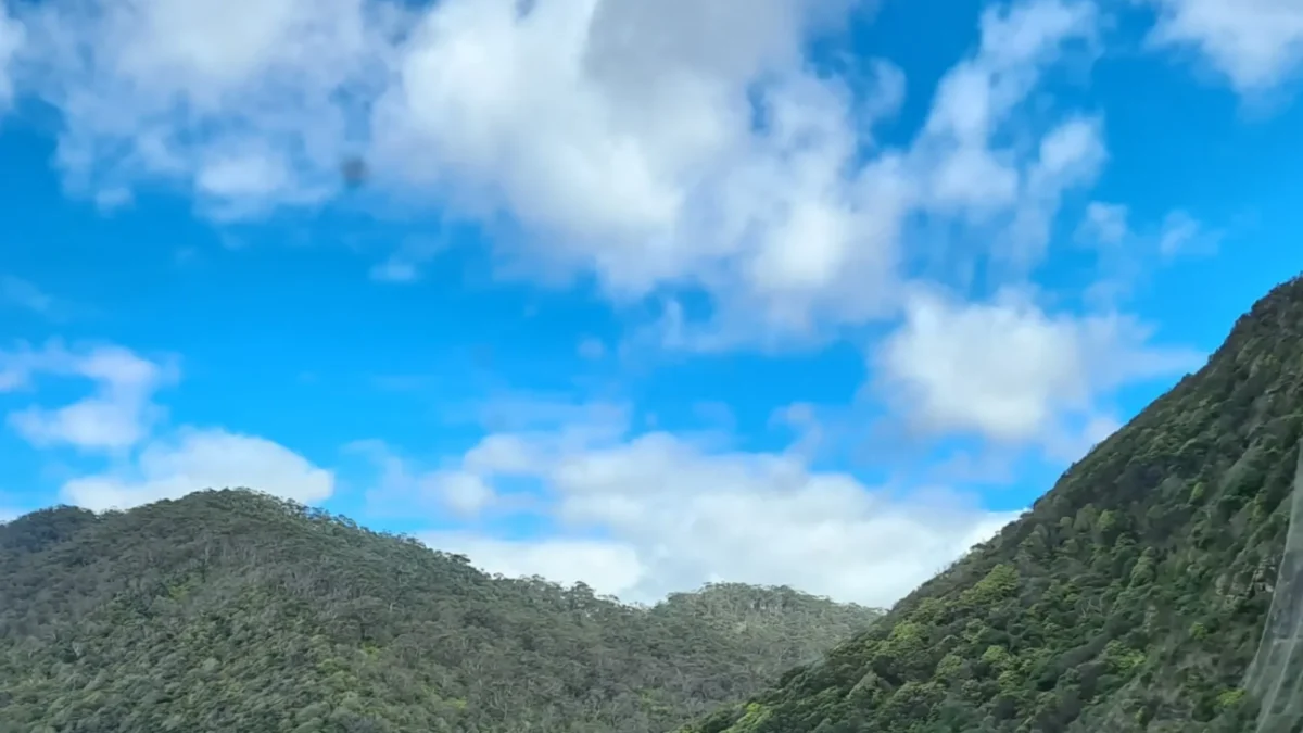 roserockschool | The Most Scenic Short Sections on the Great Ocean Road